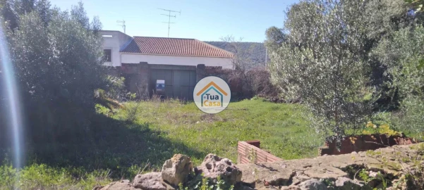 Terreno para Venda em Salir