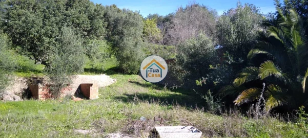 Terreno para Venda em Salir