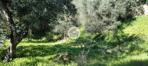 Terreno para Venda em Salir