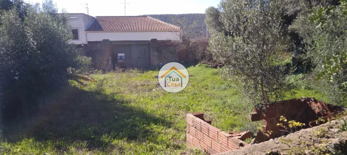 Terreno para Venda em Salir Foto 17