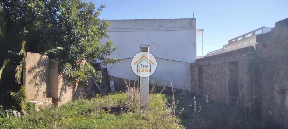 Terreno para Venda em Salir Foto 10