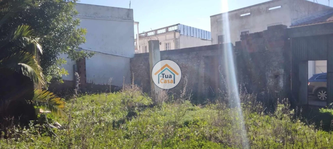 Terreno para Venda em Salir Foto 13