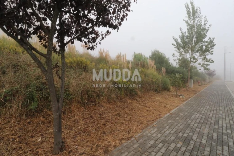 Terreno para Venda em São João de Ver Foto 4