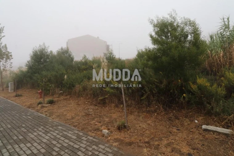 Terreno para Venda em São João de Ver Foto 3