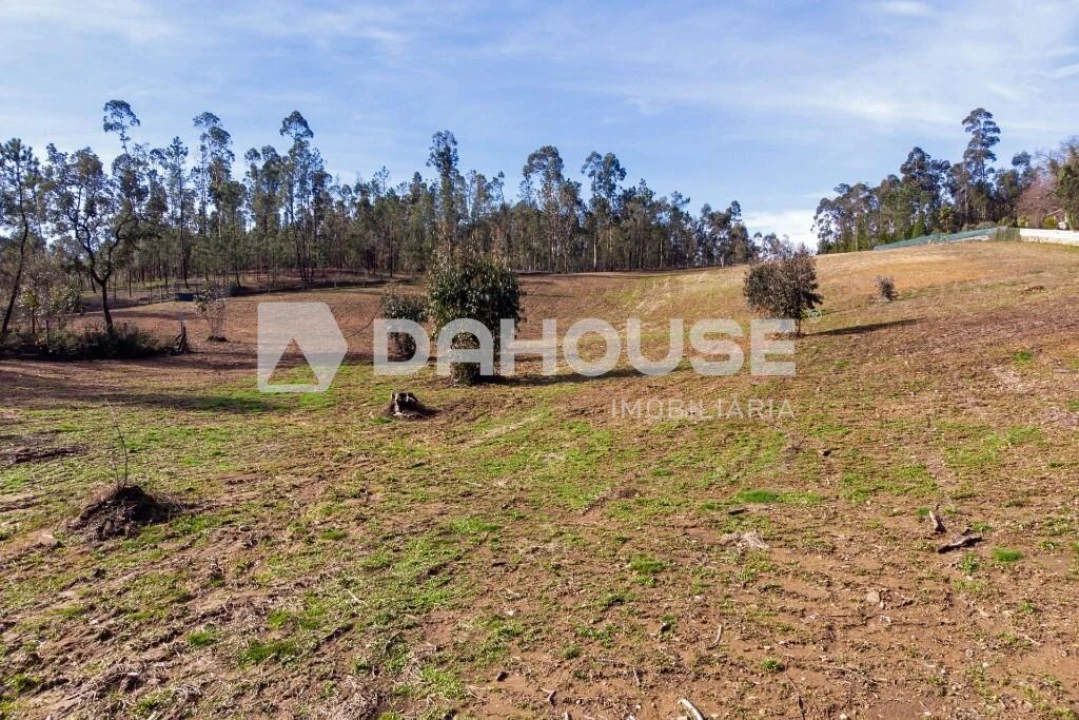 Terreno para Venda em Associação de Freguesias do Vale do Neiva Foto 22