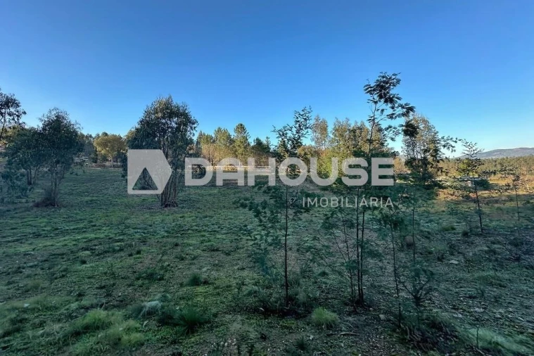 Terreno para Venda em Associação de Freguesias do Vale do Neiva Foto 8