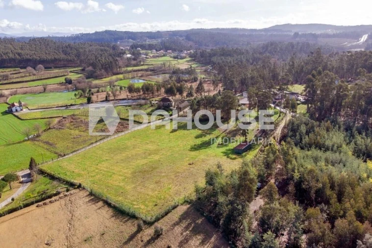 Terreno para Venda em Associação de Freguesias do Vale do Neiva Foto 14