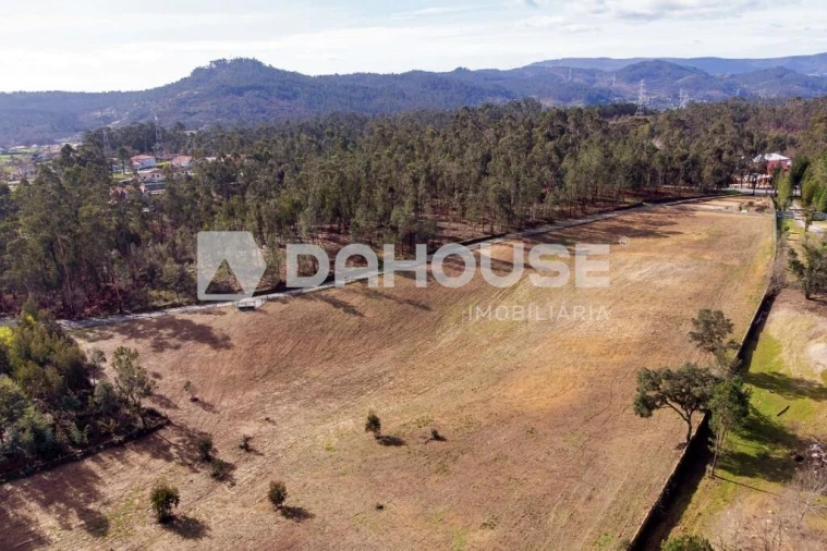 Terreno para Venda em Associação de Freguesias do Vale do Neiva Foto 17