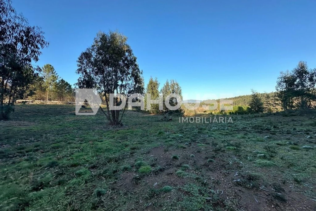 Terreno para Venda em Associação de Freguesias do Vale do Neiva Foto 6