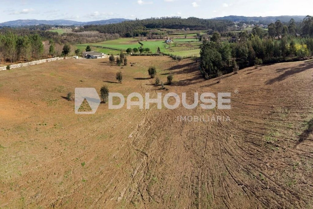 Terreno para Venda em Associação de Freguesias do Vale do Neiva Foto 24