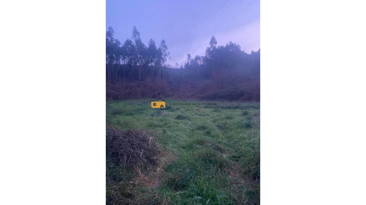 Terreno para Arrendamento em Foz do Sousa e Covelo Foto 17