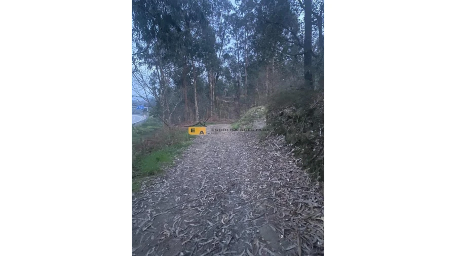 Terreno para Arrendamento em Foz do Sousa e Covelo Foto 2
