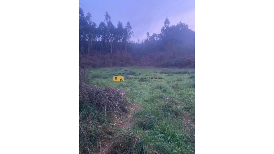 Terreno para Arrendamento em Foz do Sousa e Covelo Foto 11