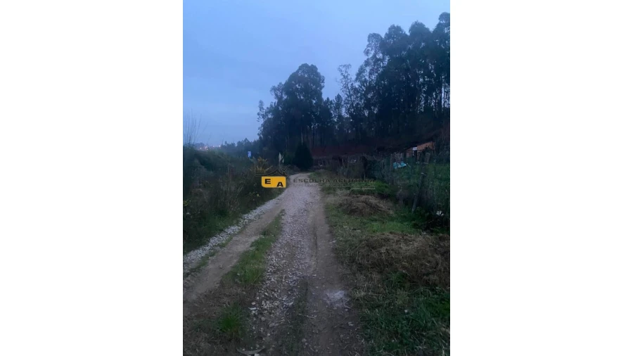 Terreno para Arrendamento em Foz do Sousa e Covelo Foto 5