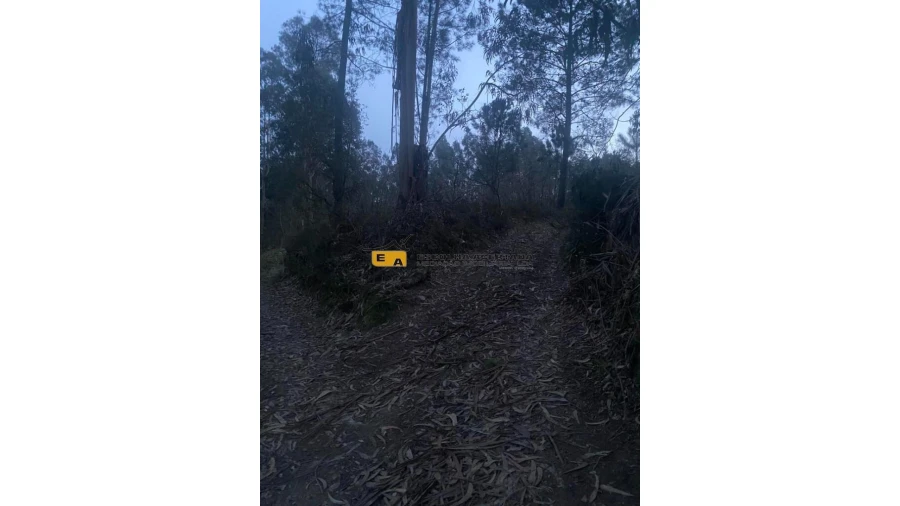 Terreno para Arrendamento em Foz do Sousa e Covelo Foto 13