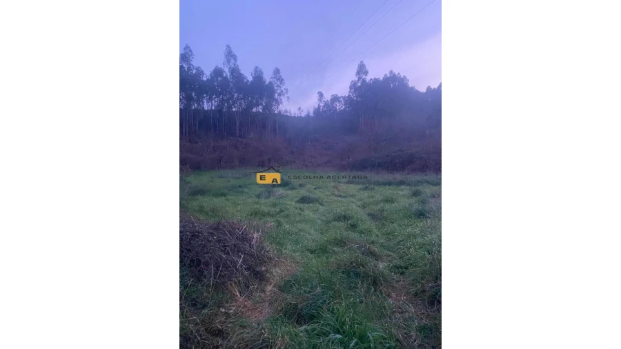 Terreno para Arrendamento em Foz do Sousa e Covelo Foto 17