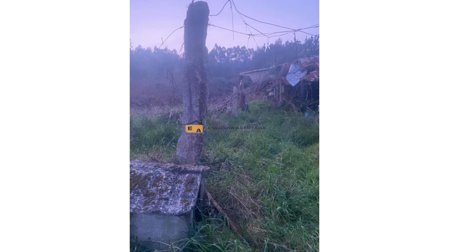 Terreno para Arrendamento em Foz do Sousa e Covelo Foto 14