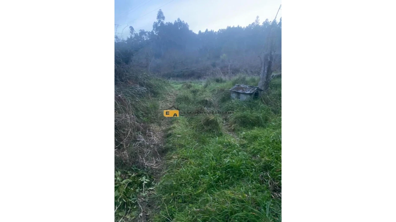 Terreno para Arrendamento em Foz do Sousa e Covelo Foto 7