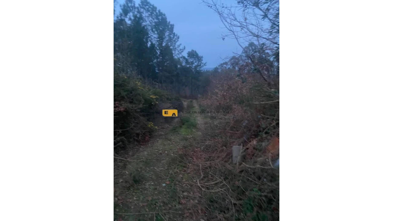 Terreno para Arrendamento em Foz do Sousa e Covelo Foto 9