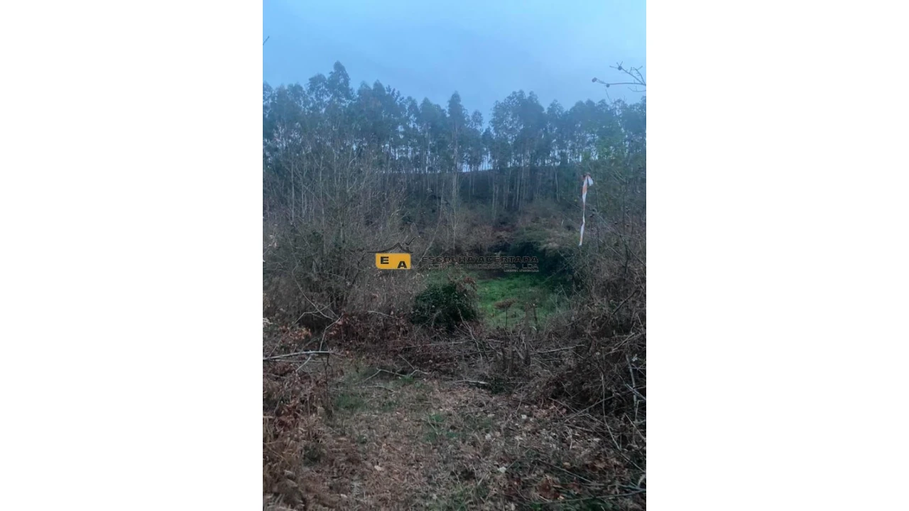 Terreno para Arrendamento em Foz do Sousa e Covelo Foto 10