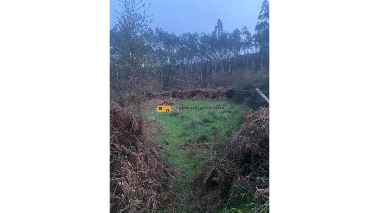 Terreno para Arrendamento em Foz do Sousa e Covelo Foto 19