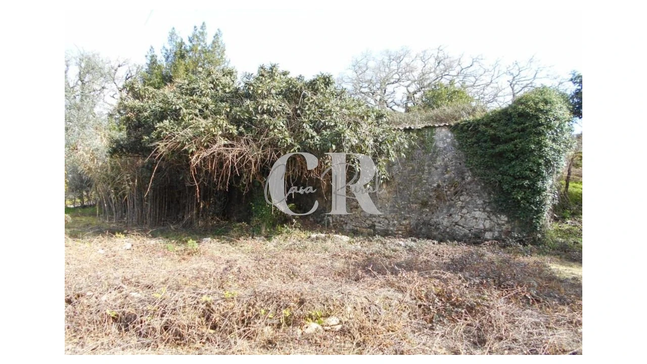 Moradia T3 para Venda em Pousaflores Foto 12