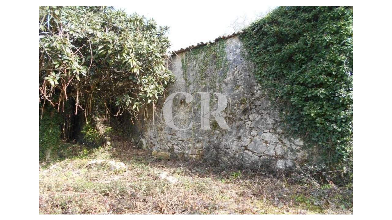 Moradia T3 para Venda em Pousaflores Foto 3