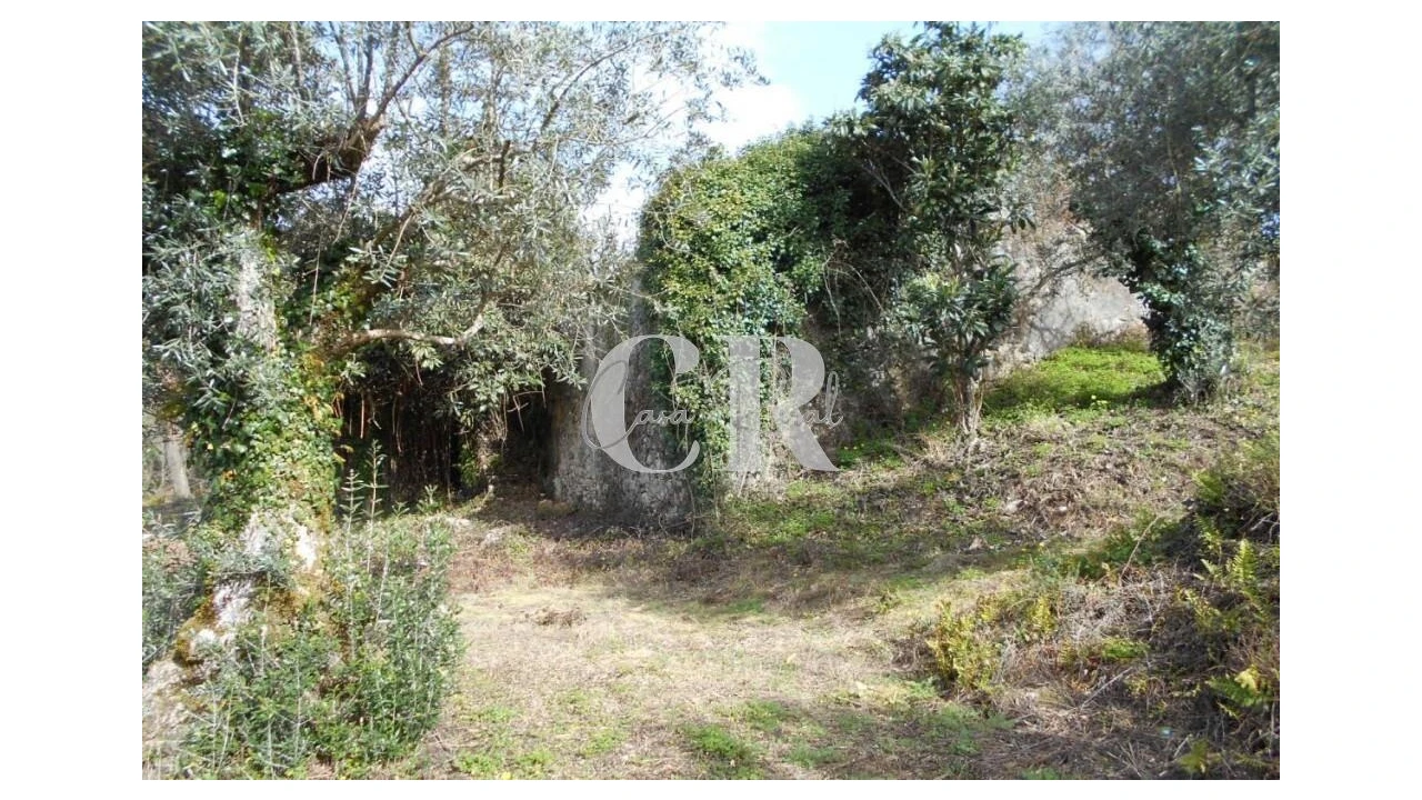 Moradia T3 para Venda em Pousaflores Foto 7