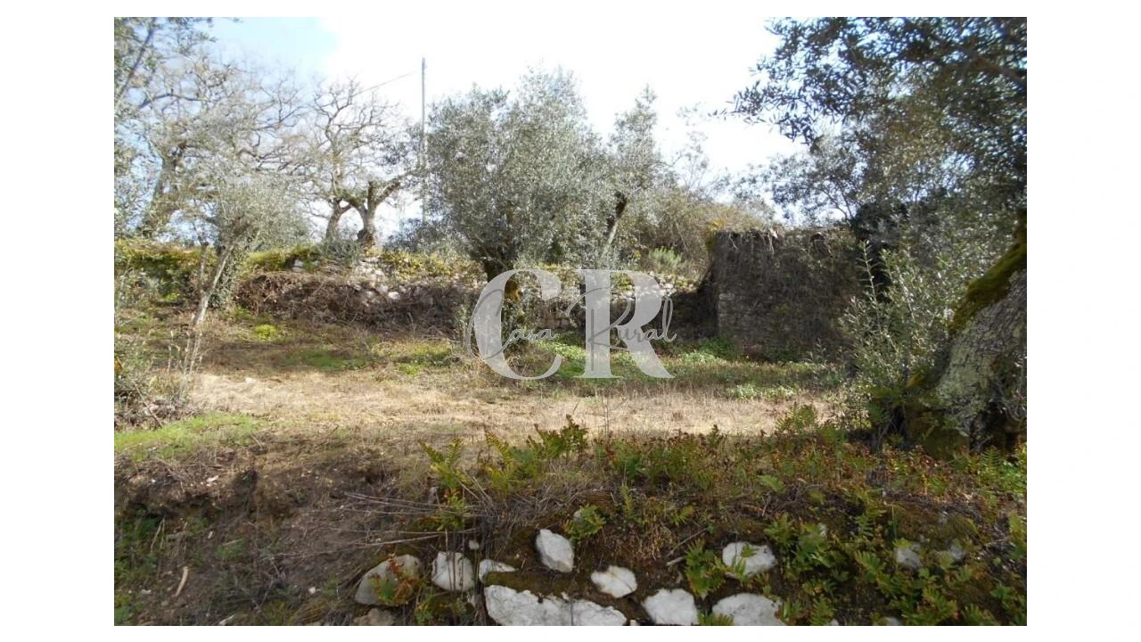 Moradia T3 para Venda em Pousaflores Foto 16