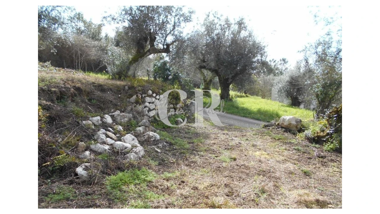 Moradia T3 para Venda em Pousaflores Foto 21