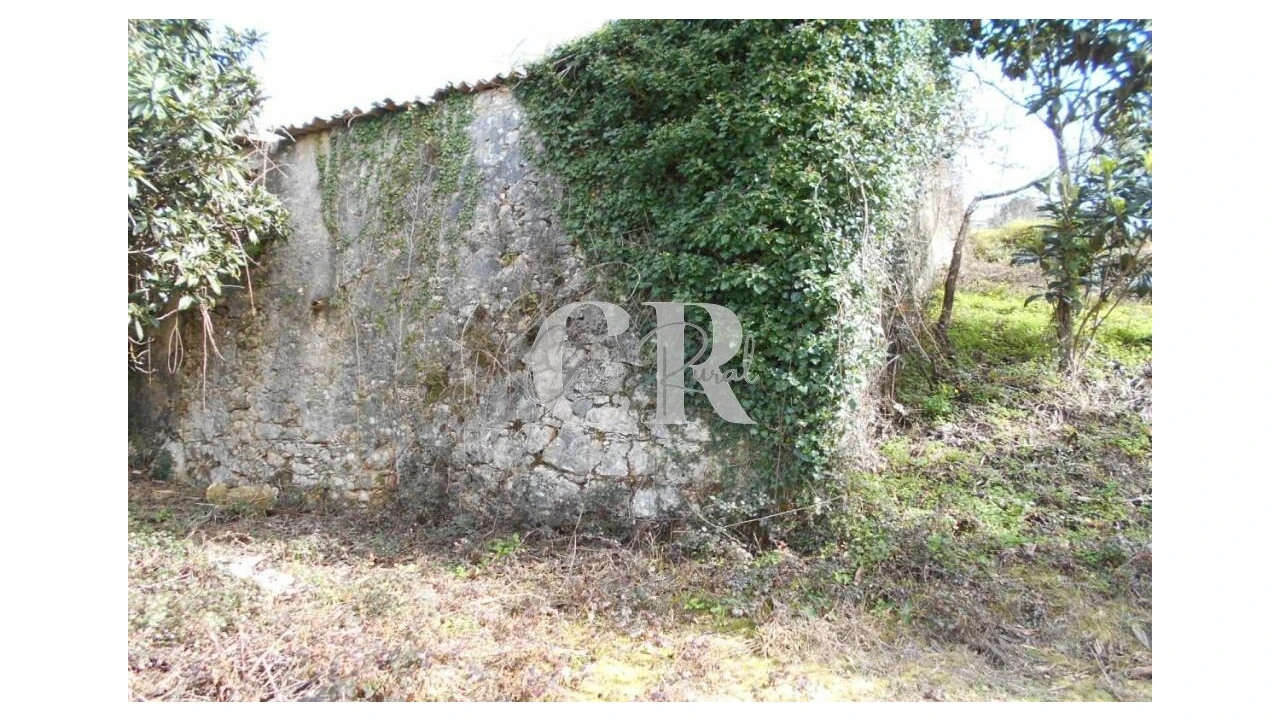 Moradia T3 para Venda em Pousaflores Foto 10