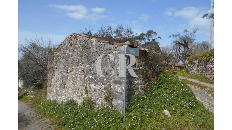 Moradia T3 para Venda em Pousaflores Foto 4