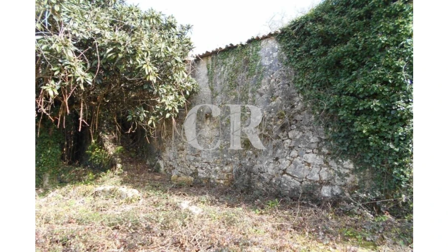 Moradia T3 para Venda em Pousaflores Foto 3