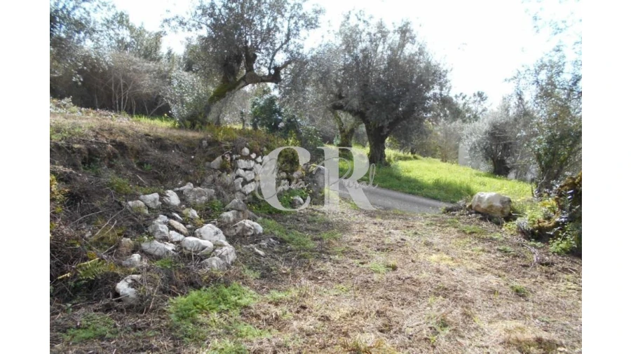 Moradia T3 para Venda em Pousaflores Foto 21