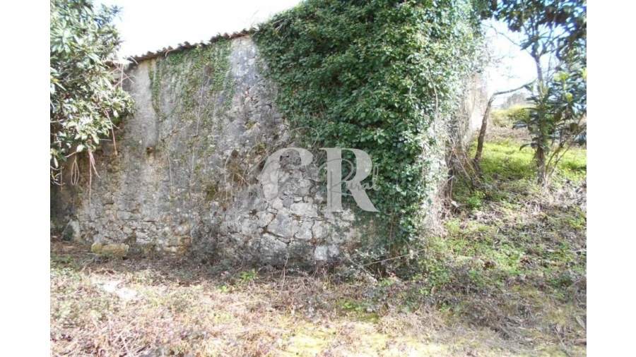 Moradia T3 para Venda em Pousaflores Foto 10