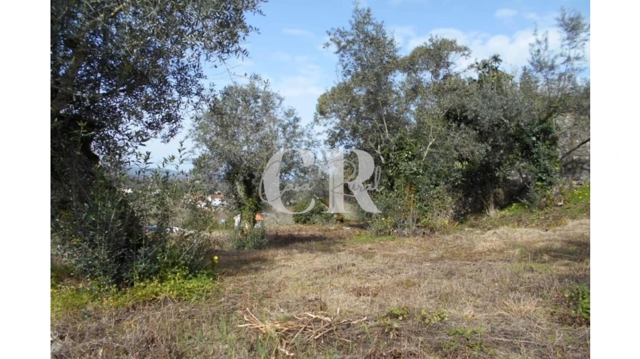 Moradia T3 para Venda em Pousaflores Foto 17