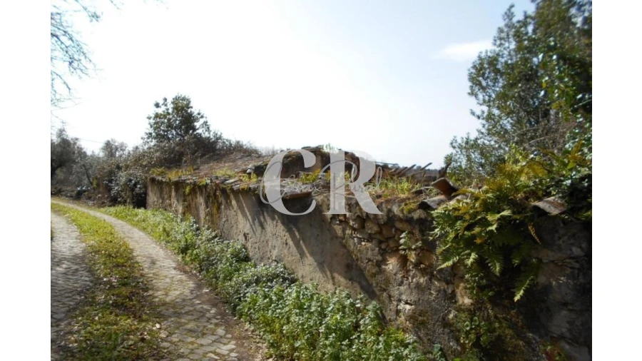 Moradia T3 para Venda em Pousaflores Foto 2