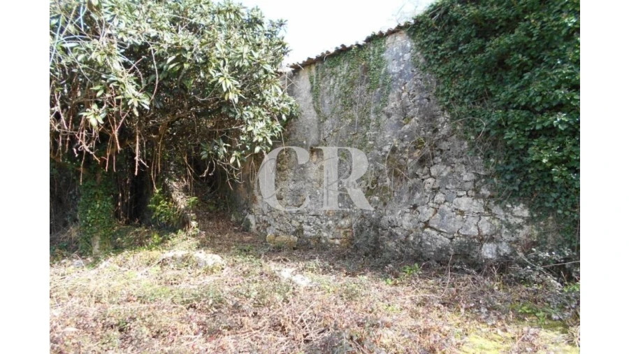 Moradia T3 para Venda em Pousaflores Foto 6