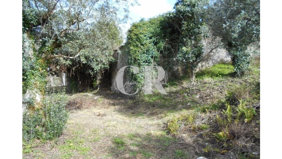 Moradia T3 para Venda em Pousaflores Foto 8