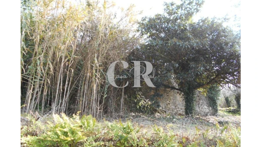 Moradia T3 para Venda em Pousaflores Foto 11