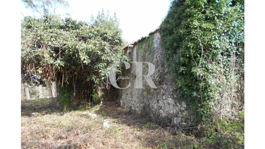 Moradia T3 para Venda em Pousaflores Foto 5