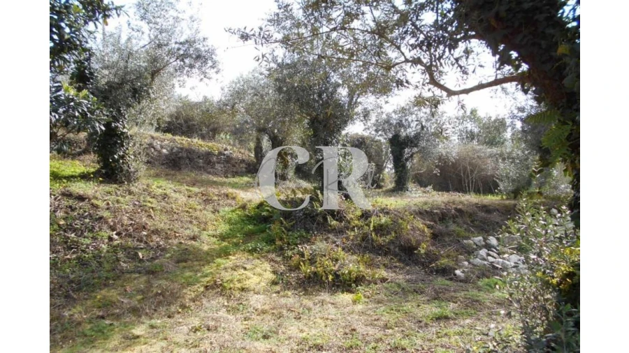 Moradia T3 para Venda em Pousaflores Foto 20