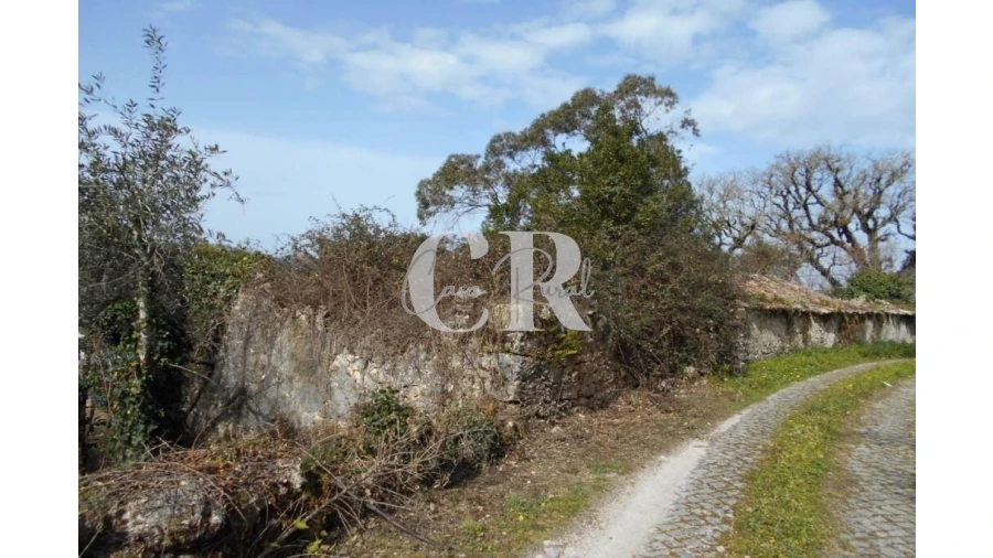 Moradia T3 para Venda em Pousaflores Foto 13