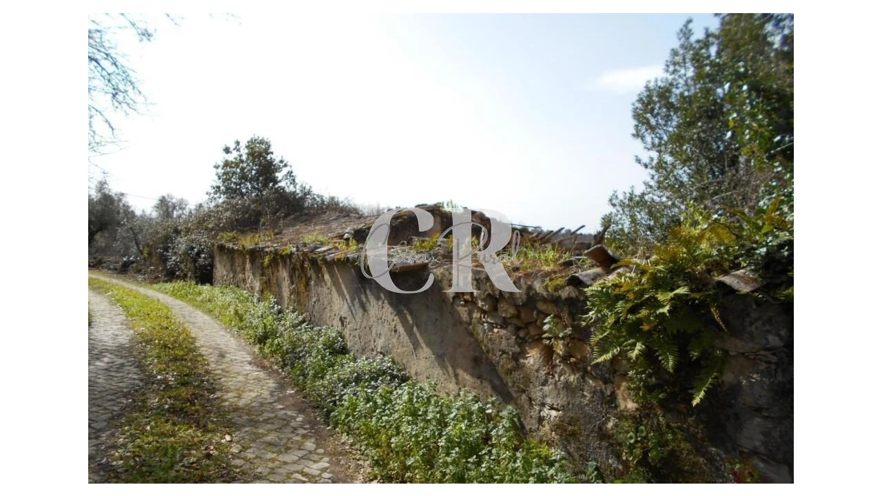 Moradia T3 para Venda em Pousaflores Foto 2