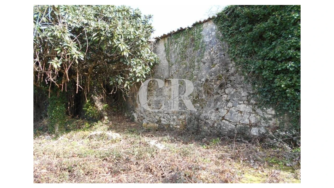 Moradia T3 para Venda em Pousaflores Foto 6