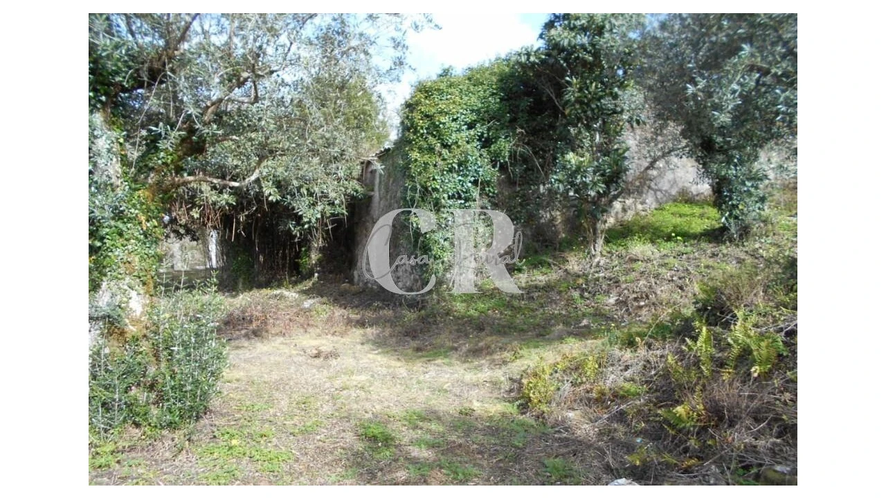 Moradia T3 para Venda em Pousaflores Foto 8