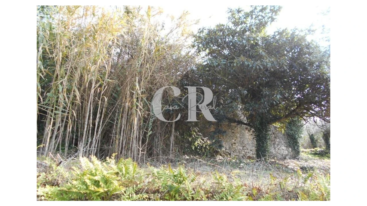 Moradia T3 para Venda em Pousaflores Foto 11