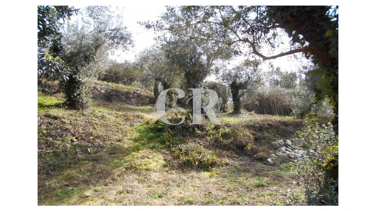 Moradia T3 para Venda em Pousaflores Foto 20