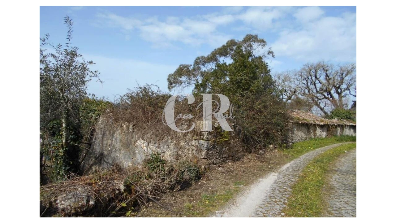 Moradia T3 para Venda em Pousaflores Foto 13