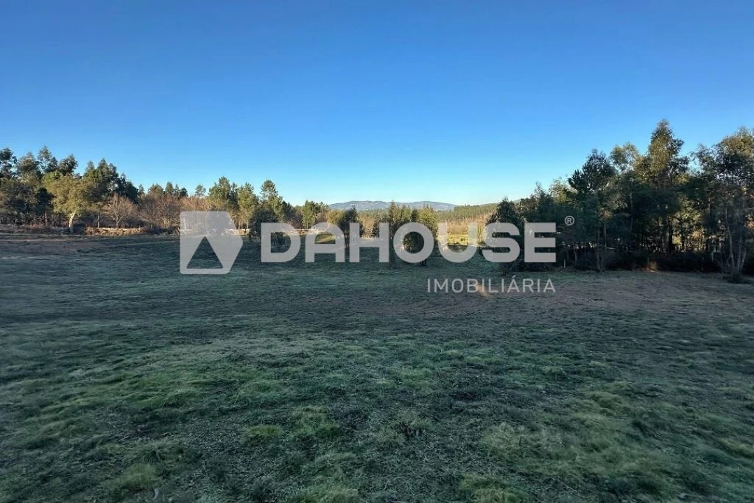 Terreno para Venda em Associação de Freguesias do Vale do Neiva Foto 3